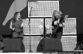 arnica_derek_glastonbury2009